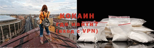 соль ск Абаза