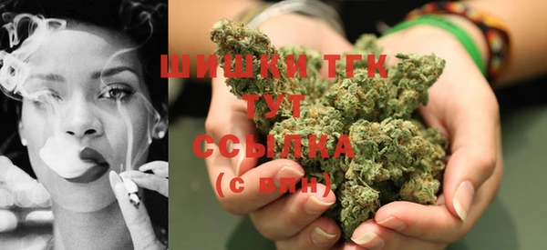 соль ск Абаза